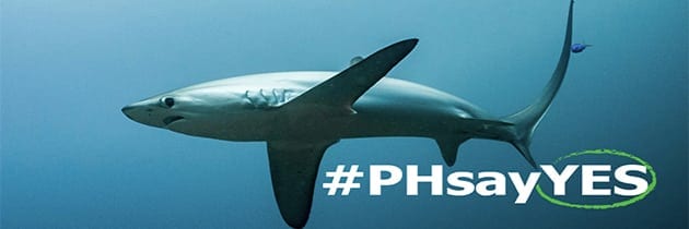 Protect the Thresher Shark #PHSayYes #WorldSayYes